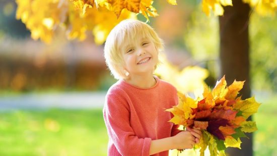 Manualidades de otoño sencillas para niños