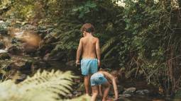 iStock