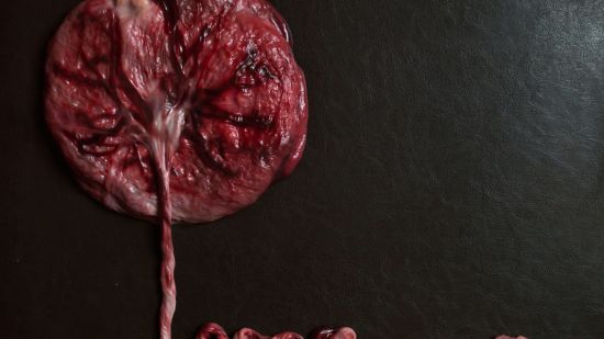 los riesgos de ingerir la placenta