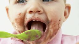 Cosas que no debe comer 1