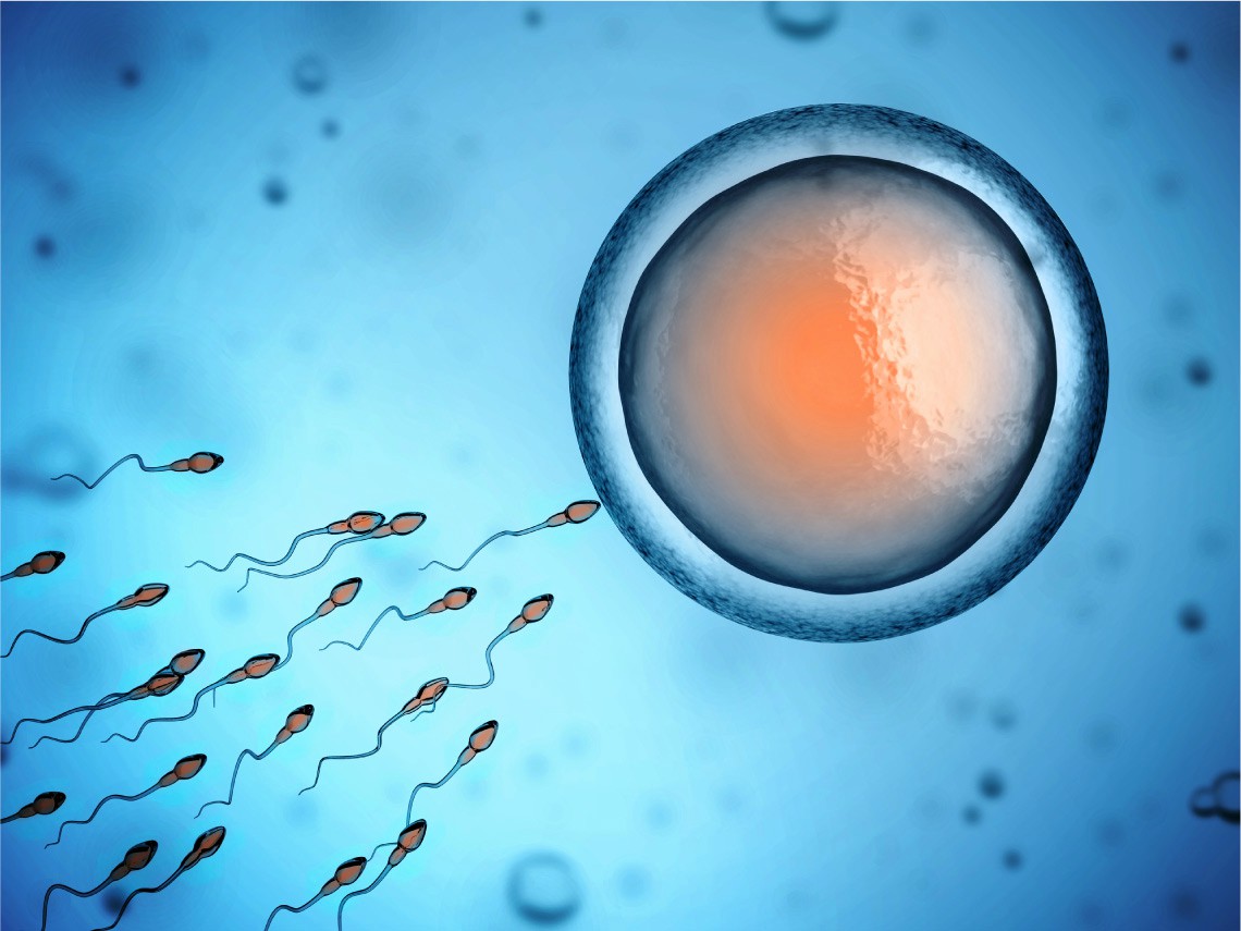 Problemas de calidad del esperma y aborto espontáneo