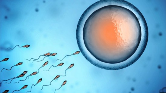 Problemas de calidad del esperma y aborto espontáneo