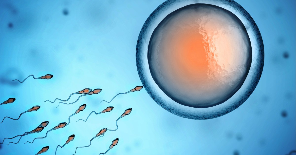 Infertilidad masculina: Problemas de calidad del esperma y aborto espontáneo