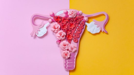 Principales enfermedades del endometrio, síntomas y cómo se tratan