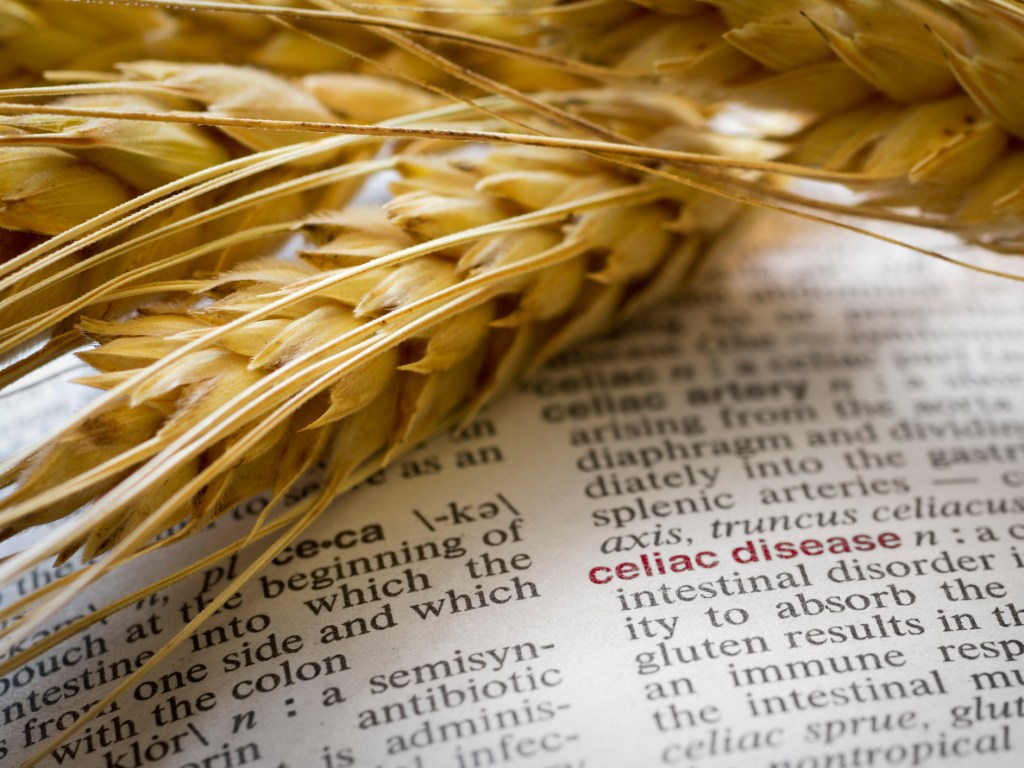 gluten