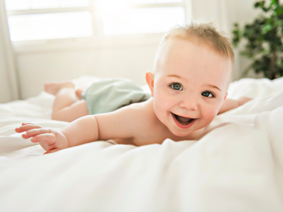 bebe