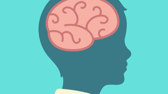 El cerebro de mi hijo: una casa en construcción