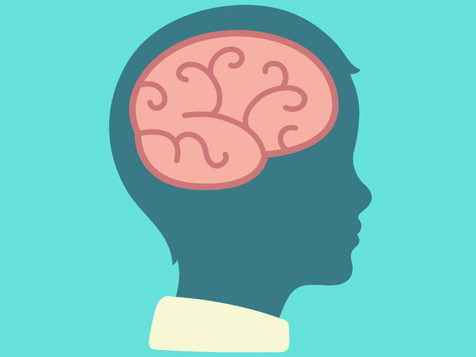 El cerebro de mi hijo: una casa en construcción