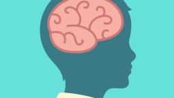 El cerebro de mi hijo: una casa en construcción