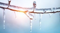 carámbano de hielo