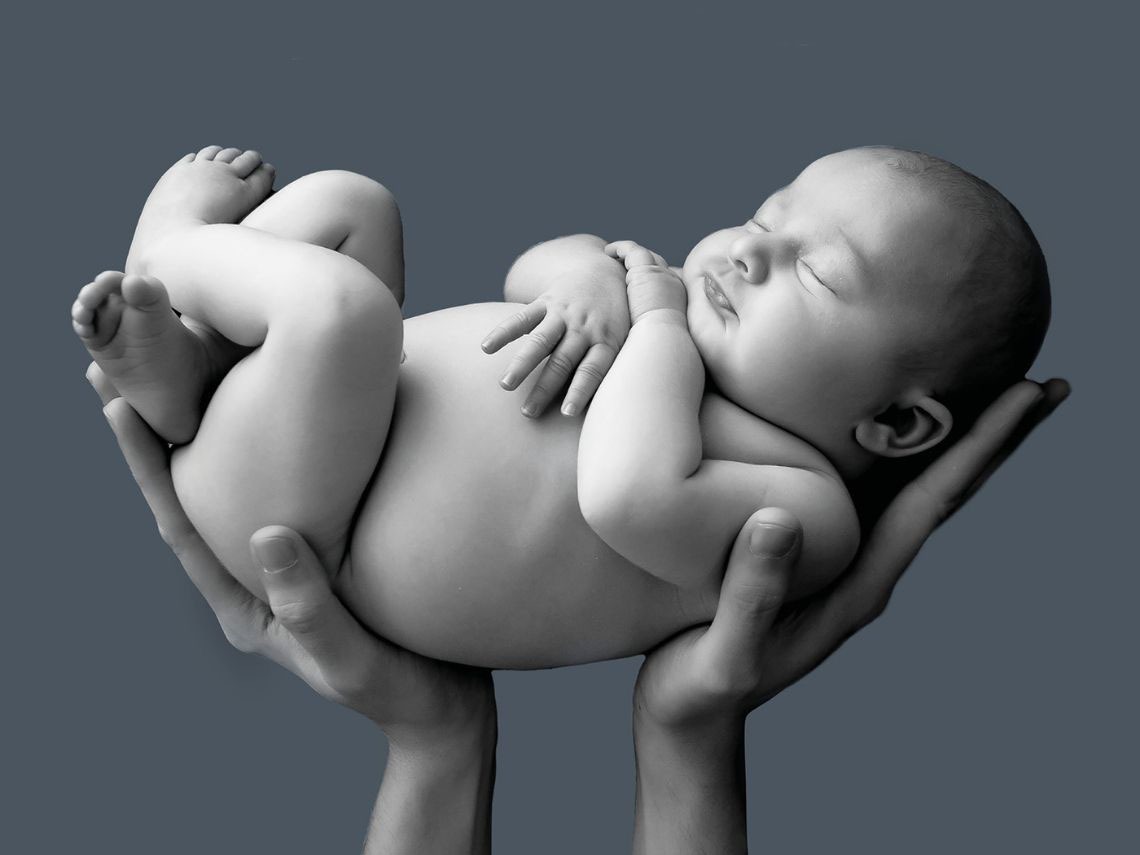 bebe