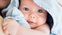 bebe