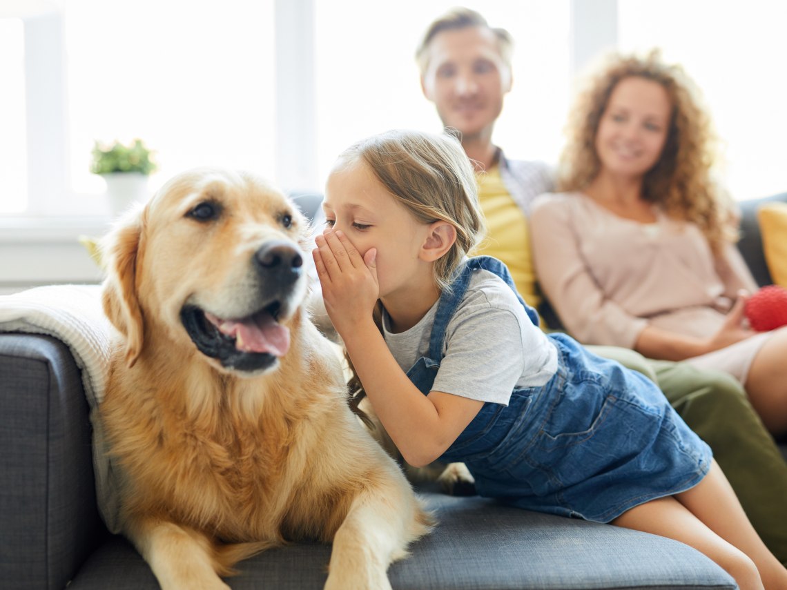Cómo ayudar a que el perro y el bebé se lleven bien