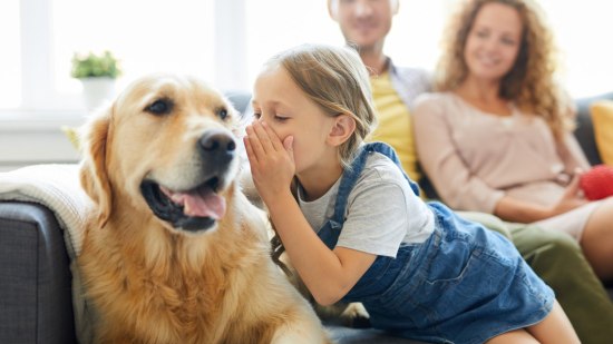 Cómo ayudar a que el perro y el bebé se lleven bien