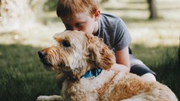 Niño y perro (Foto: Unsplash)