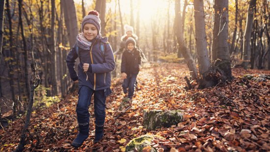 Planes de otoño para niños