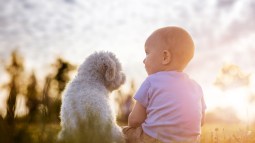 Niño con perro