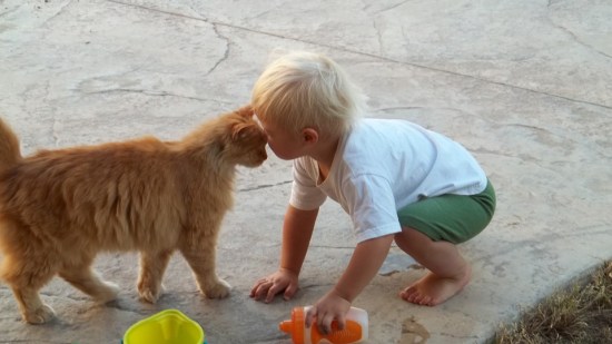 Un gato y un niño jugando