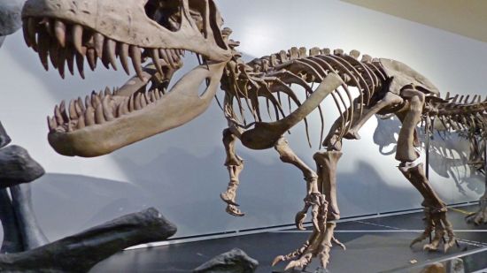 Lugares de España para ver dinosaurios con tus hijos