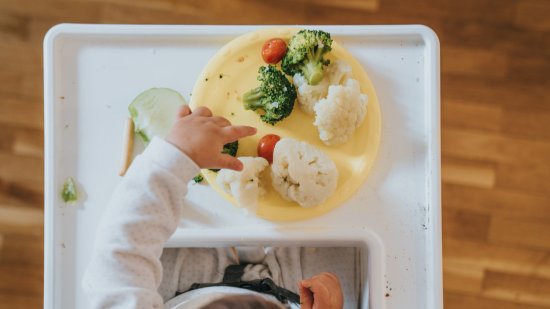 Introducción de los alimentos sólidos
