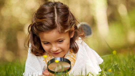 Presentamos en exclusiva un capítulo del libro 'La vida secreta de las plantas'