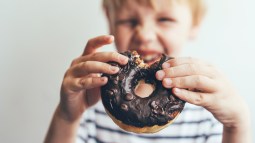 donut