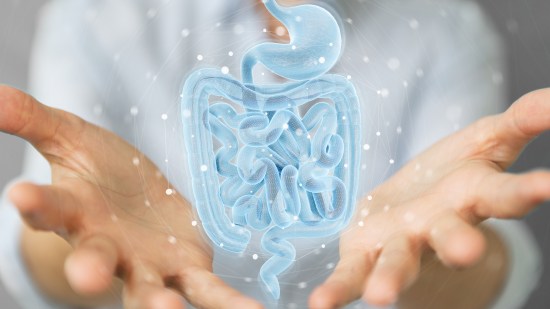 shutterstock_1690829851