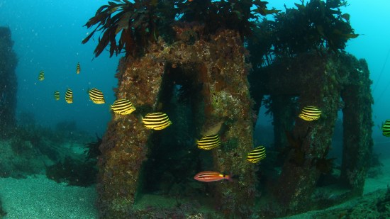 ArtificialReef_Photo_KoreaFisheriesResourcesAgency_2023