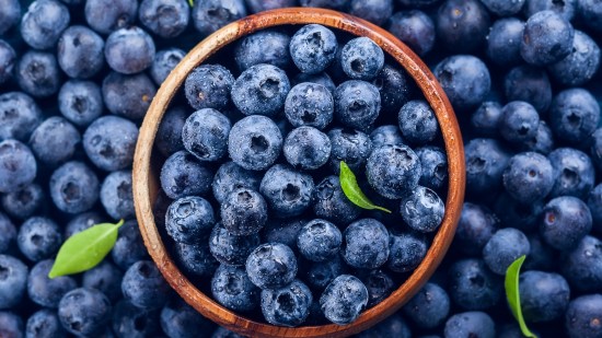 shutterstock_1089612134