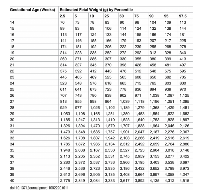 Estos son los percentiles del crecimiento fetal en cada semana del embarazo