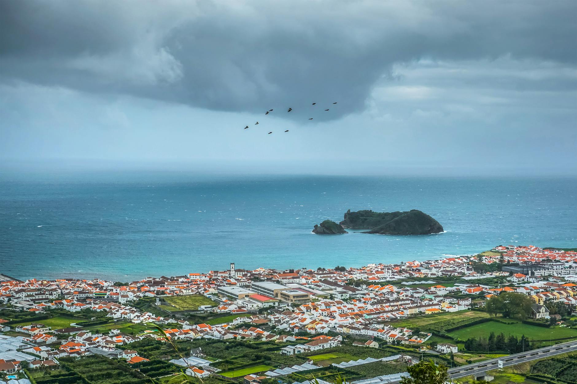 aerial photography of village near body of water