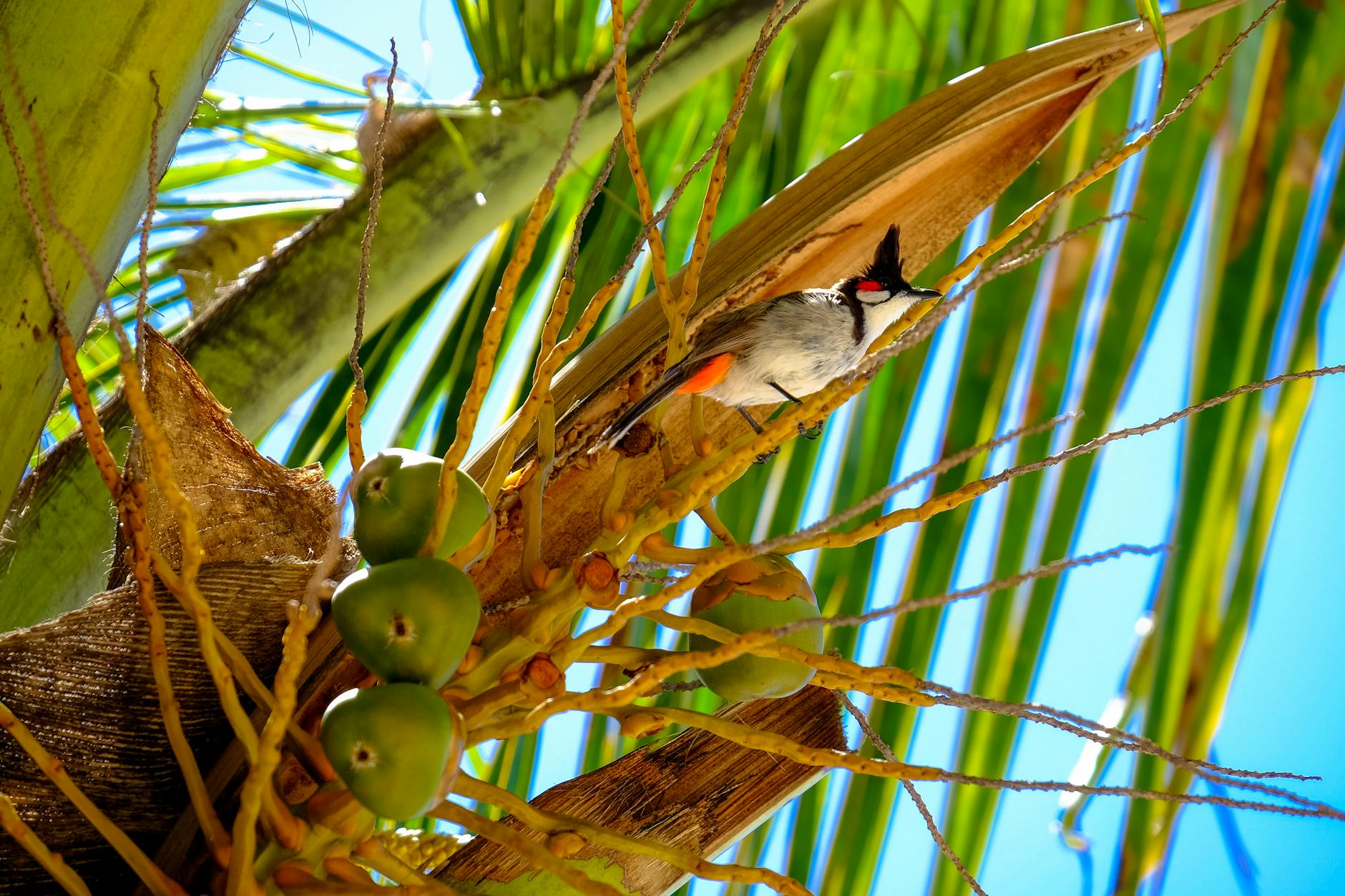 bird on tree