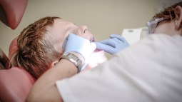 Etapas de la dentición