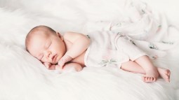bebe