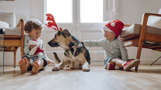 navidad