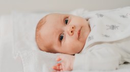bebé