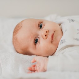 bebé