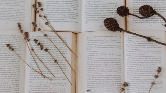 Significado del nombre Eduardo: origen e historia - Fuente: PExels