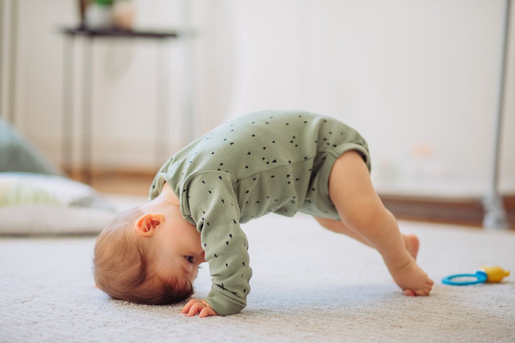 Significado del nombre Luís: origen e historia - Nombres de niño