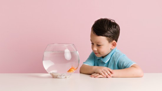 Peces