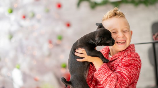 Mascotas en Navidad