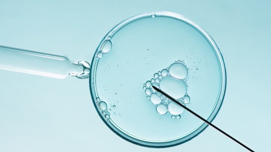 Fecundación in vitro