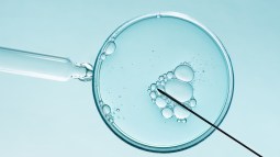 Fecundación in vitro