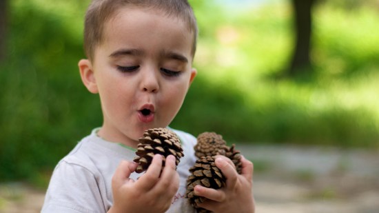 Niño con piñas