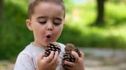 Niño con piñas