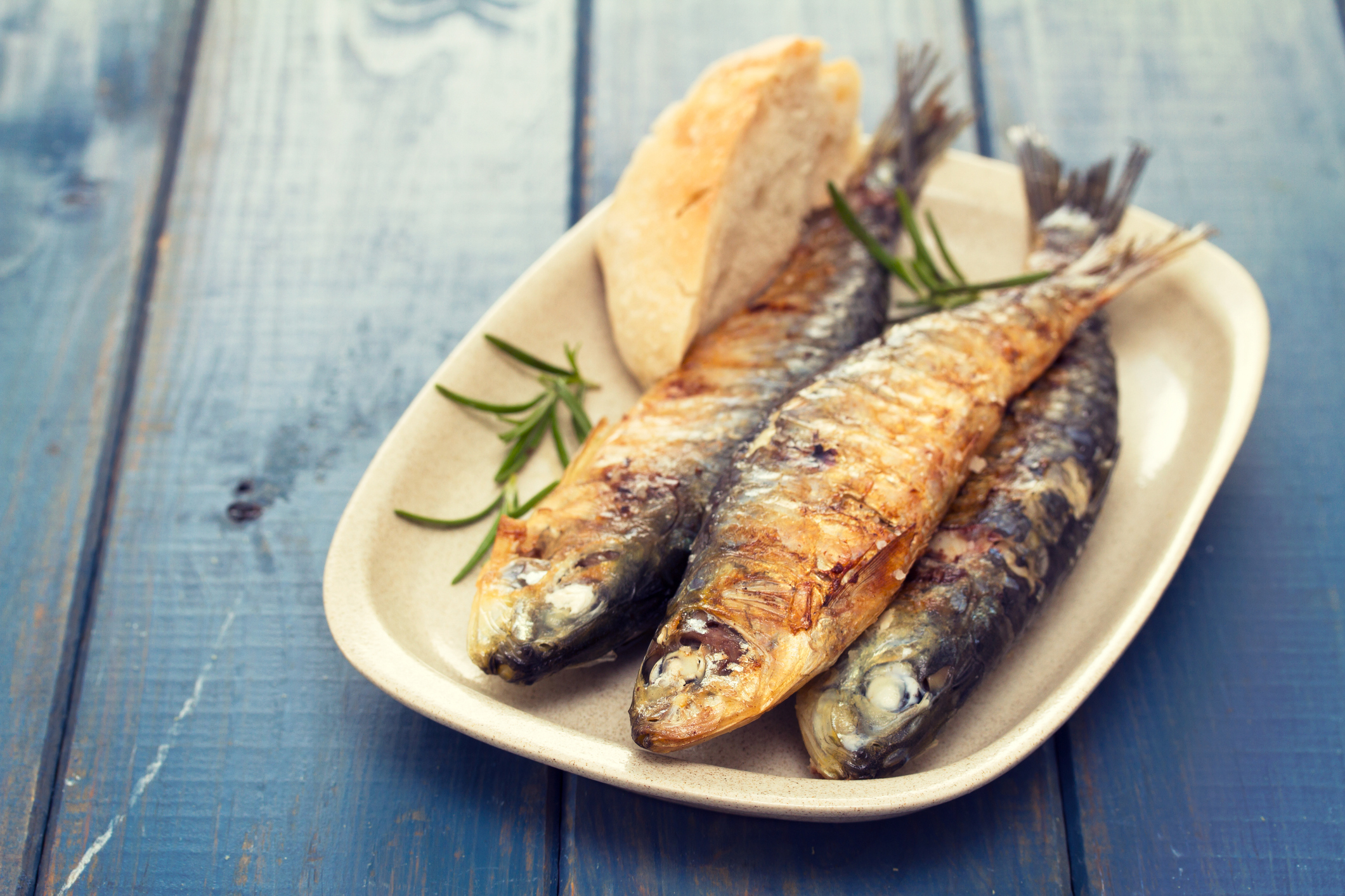 sardinas