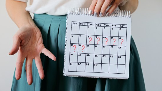 shutterstock_1561328644