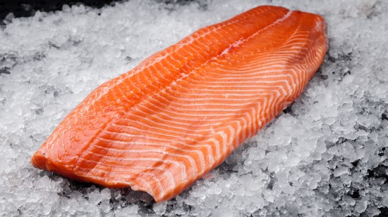 salmón