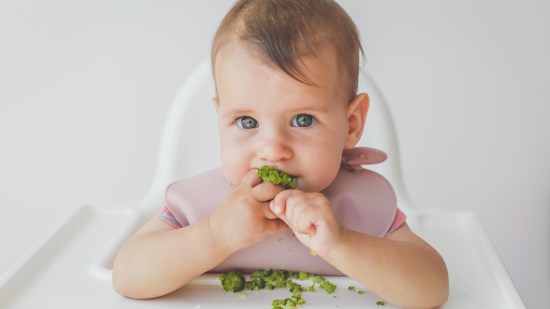 shutterstock_2306880045