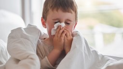 shutterstock_2169380565